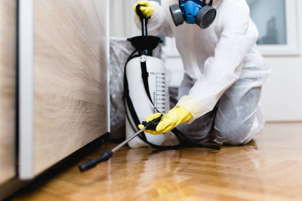 Best Best Pest Control Near Me  in Marlette, MI