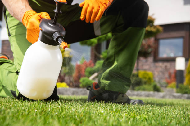 Best Commercial Pest Control Services  in Marlette, MI