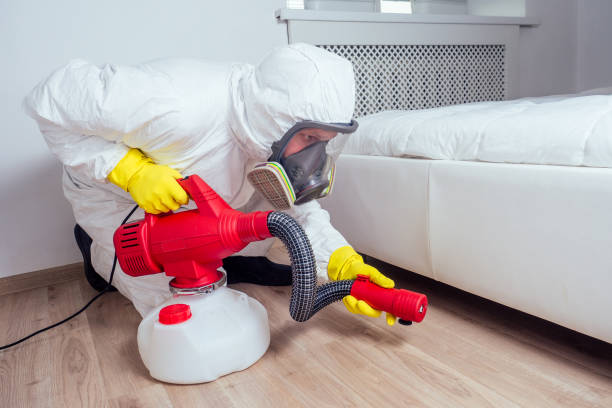 Best Wasp Removal Services  in Marlette, MI