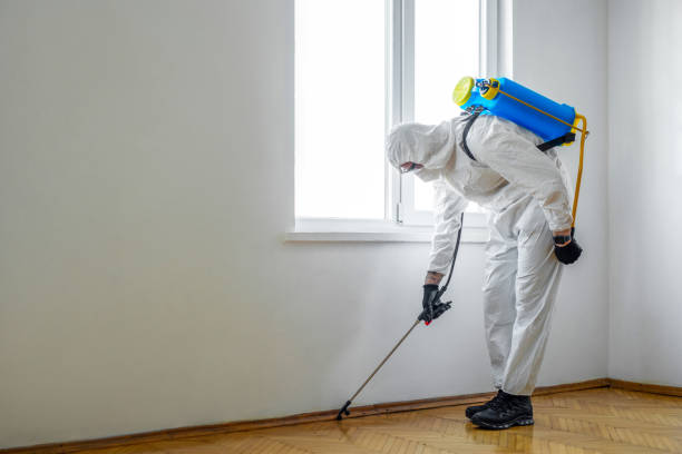 Trusted Marlette, MI Pest Control Experts