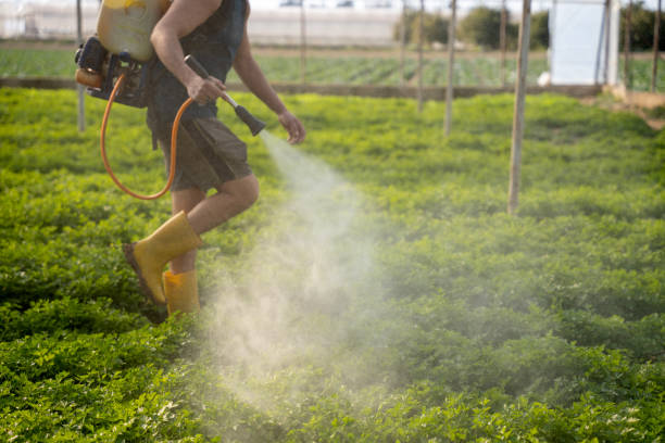 Best Mosquito Control Services  in Marlette, MI