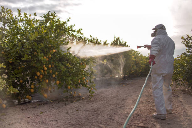 Best Pest Control Near Me  in Marlette, MI