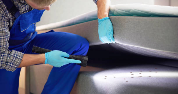 Best Pest Inspection Near Me  in Marlette, MI