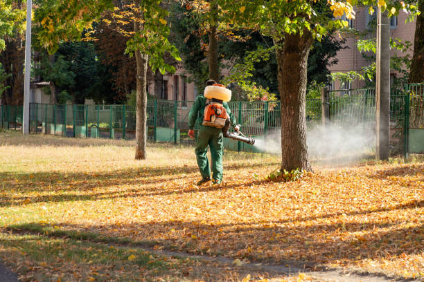 Best Ant Control Services  in Marlette, MI