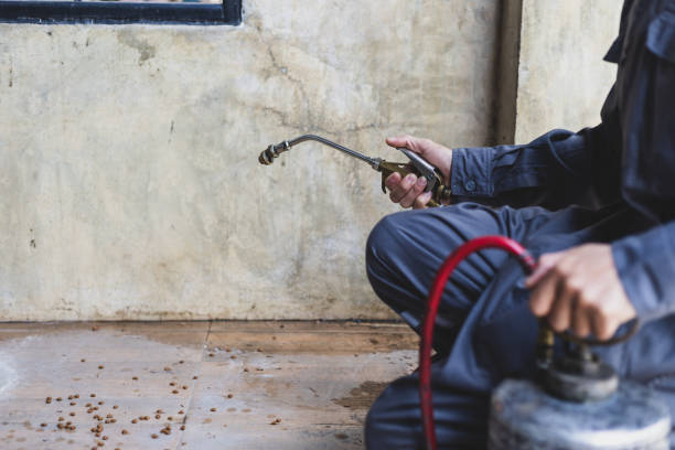 Best Pest Removal Services  in Marlette, MI